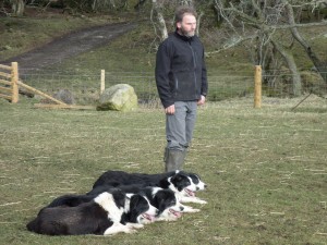 Leault Sheep Farm in Scotland